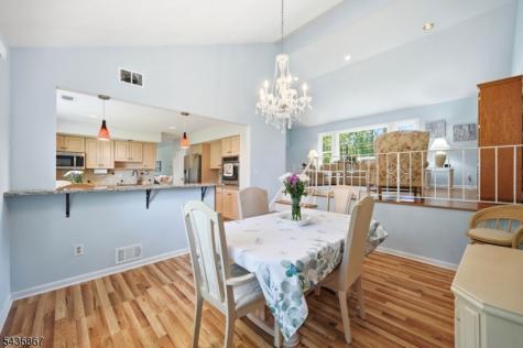 3 Trouville Drive Parsippany-troy Hills NJ 07054