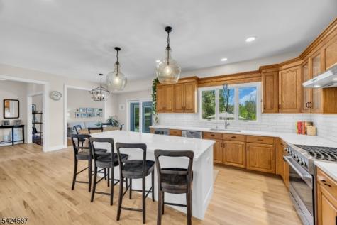 1 Berkshire Court Clinton NJ 08833
