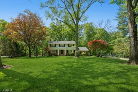12 Indian Run Scotch Plains NJ 07076