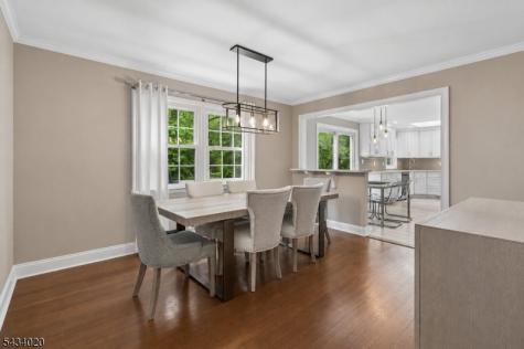 12 Indian Run Scotch Plains NJ 07076
