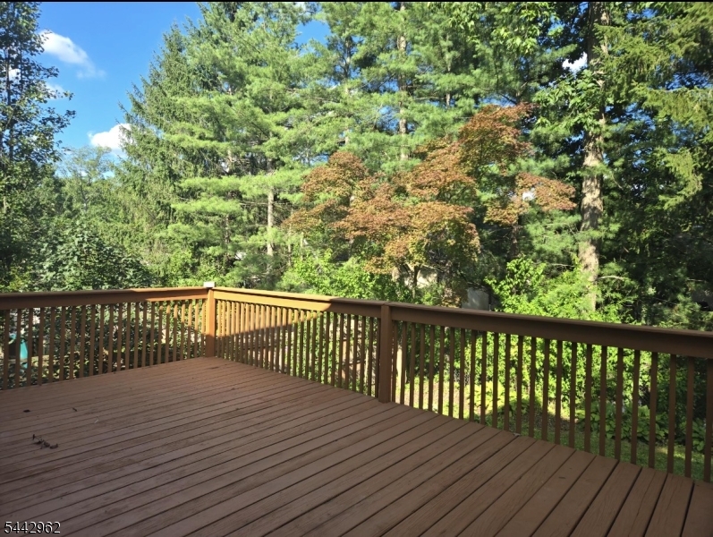 17 Dogwood Terrace Livingston NJ 07039