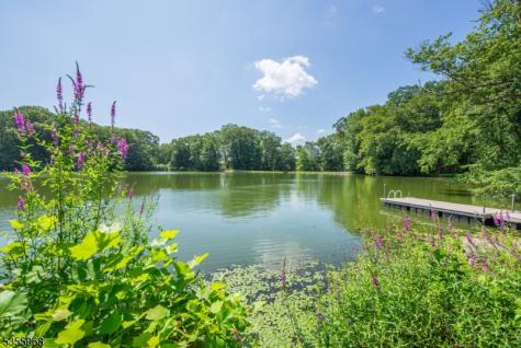 34 W Shore Road Mountain Lakes NJ 07046