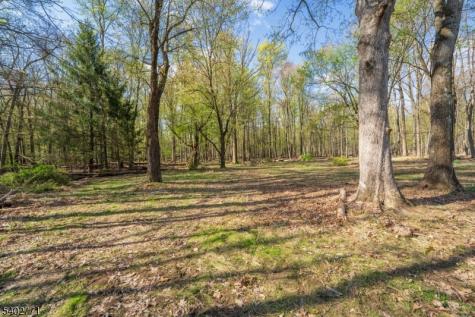 347 Zion Road Hillsborough NJ 08844