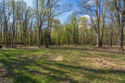 347 Zion Road Hillsborough NJ 08844