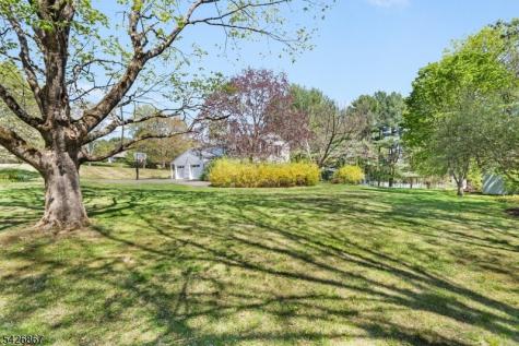 10 Babbitt Road Mendham NJ 07945