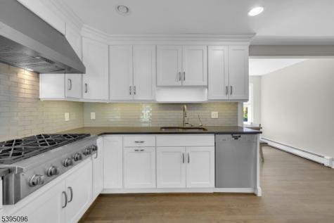 306 Eyland Avenue Roxbury NJ 07876
