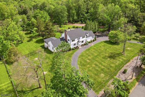 10 Deer Ridge Road Bernards NJ 07920