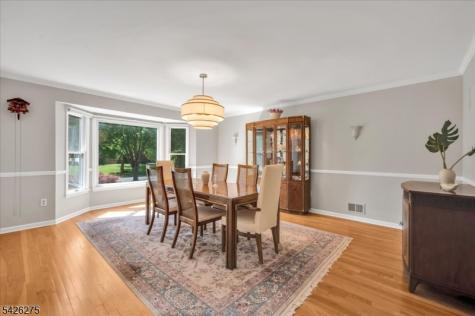 25 Solomon Drive Bridgewater NJ 08807