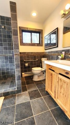 56 E Shore Trail Sandyston NJ 07826