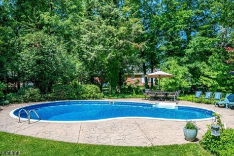 9 Clive Hills Road Edison NJ 08820