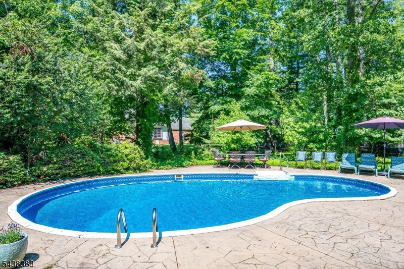 9 Clive Hills Road Edison NJ 08820