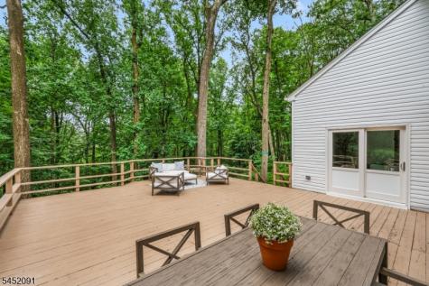 31 Warren Cutting Chester NJ 07930