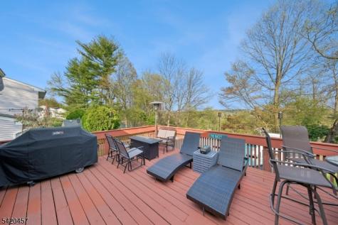 20 Cleveland Terrace West Orange NJ 07052