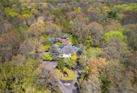 55 Janelle Court Bedminster NJ 07921