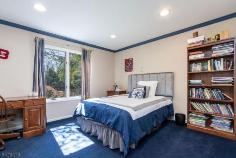 55 Janelle Court Bedminster NJ 07921