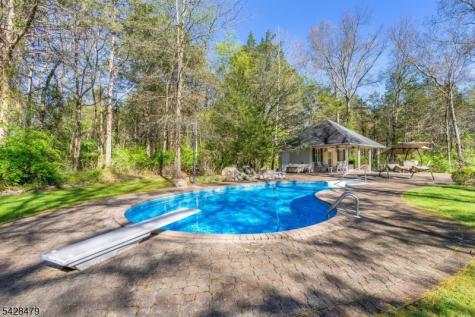 55 Janelle Court Bedminster NJ 07921