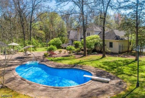 55 Janelle Court Bedminster NJ 07921