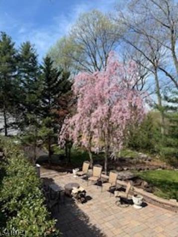 1044 Summit Lane Mountainside NJ 07092