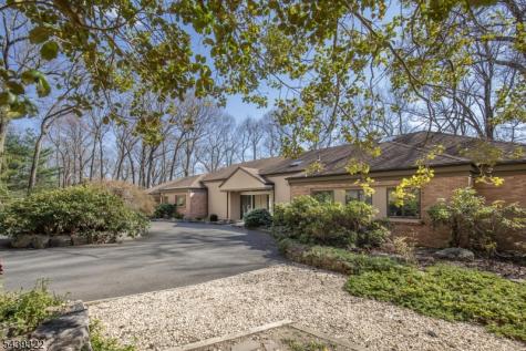 235 Mountainside Road Mendham NJ 07945