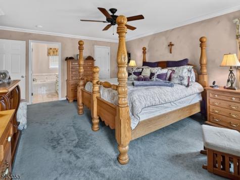 17 Saddle Ridge Road Frelinghuysen NJ 07821