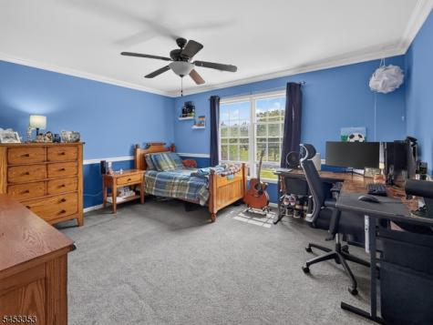 17 Saddle Ridge Road Frelinghuysen NJ 07821