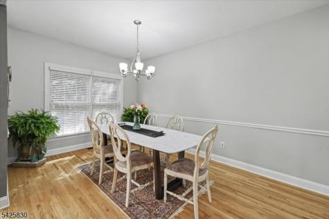 294 Spring Avenue Ridgewood Village NJ 07450