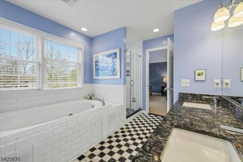 294 Spring Avenue Ridgewood Village NJ 07450