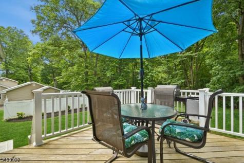 42 Davenport Avenue Roseland NJ 07068