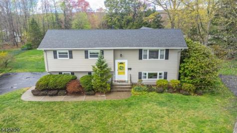 12 Henry Street Roxbury NJ 07876