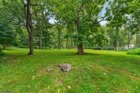 9 Woods Edge Court White NJ 07823