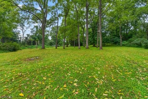 9 Woods Edge Court White NJ 07823
