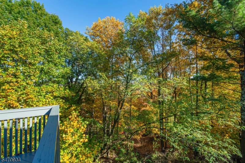194 Eileen Drive Cedar Grove NJ 07009