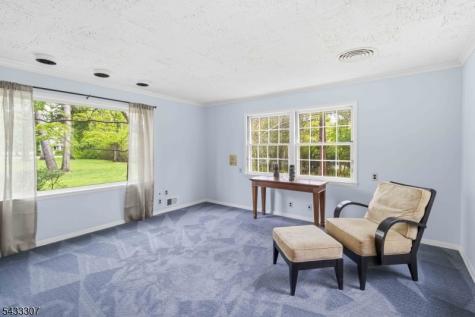 12 Normandy Parkway Morris NJ 07960