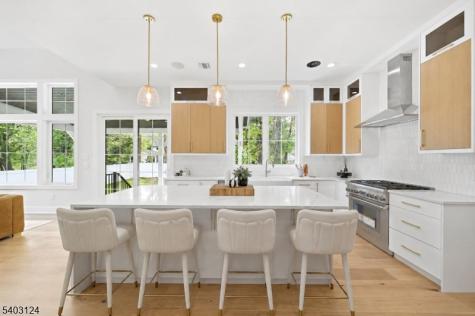17 Arlington Drive Livingston NJ 07039