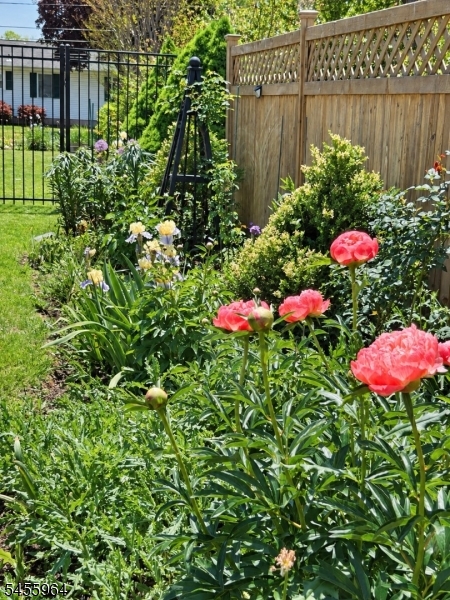808 Rhine Boulevard Raritan NJ 08869