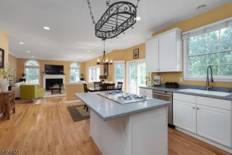 2 Aronimink Court Montgomery NJ 08558