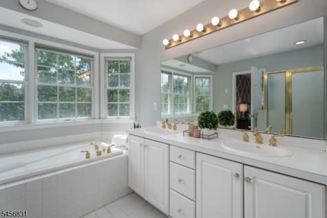 2 Aronimink Court Montgomery NJ 08558
