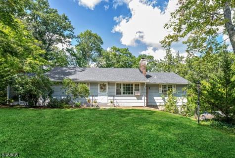 115 Riverwood Avenue Bedminster NJ 07921