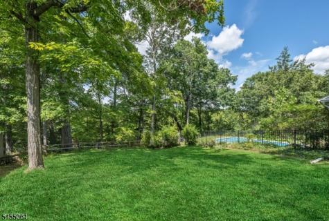 115 Riverwood Avenue Bedminster NJ 07921