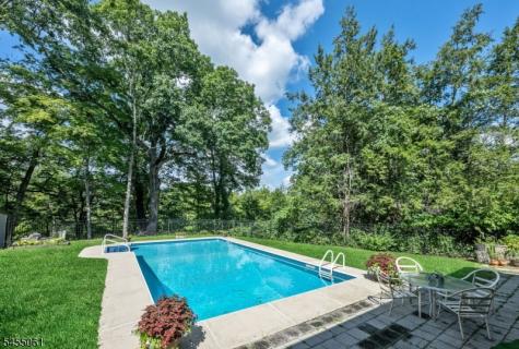 115 Riverwood Avenue Bedminster NJ 07921