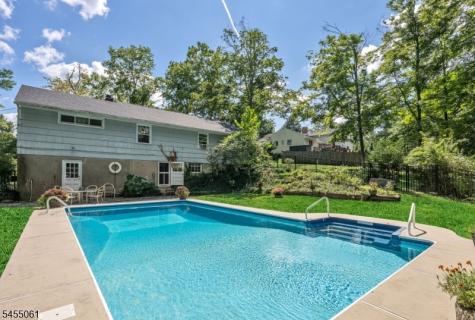 115 Riverwood Avenue Bedminster NJ 07921