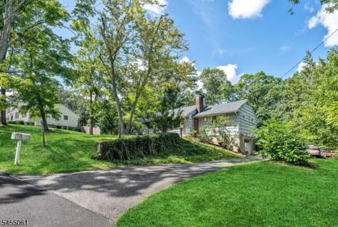 115 Riverwood Avenue Bedminster NJ 07921