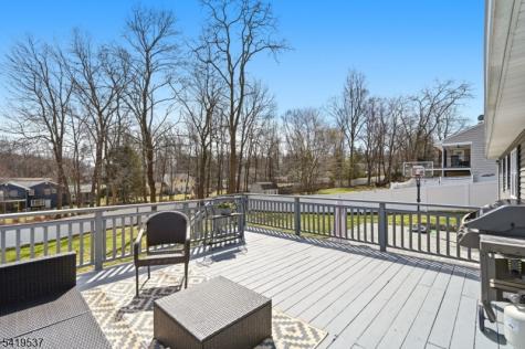 28 Raynor Road Morris NJ 07960