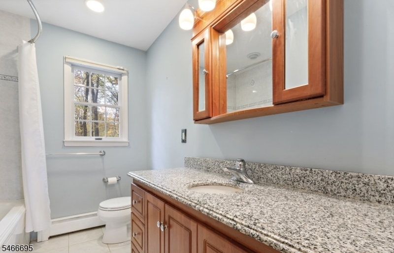 8 Stacy Lane Bernards NJ 07920