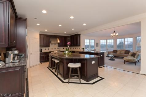 10 Raker Court Hillsborough NJ 08844