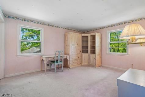 19 Greenbriar Drive Summit NJ 07901