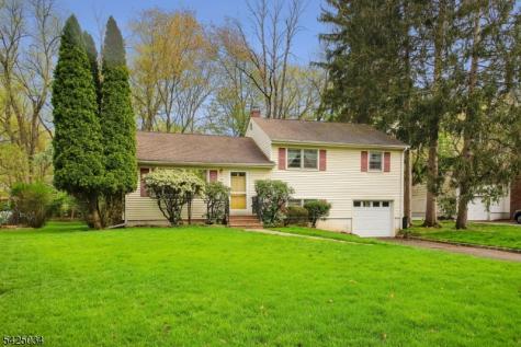 22 Springbrook Road Livingston NJ 07039