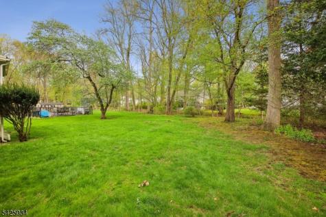 22 Springbrook Road Livingston NJ 07039