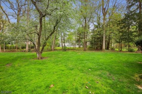 22 Springbrook Road Livingston NJ 07039