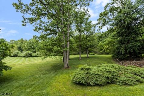 8 Deerwood Trail Warren NJ 07059